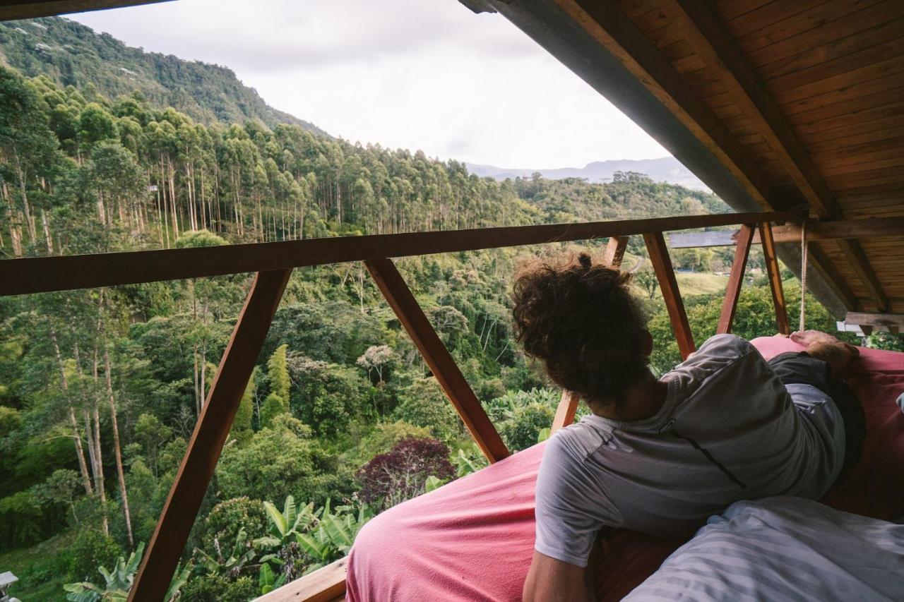 Creo Ecolodge Jardín Eksteriør billede