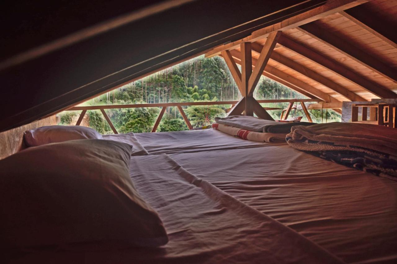 Creo Ecolodge Jardín Eksteriør billede