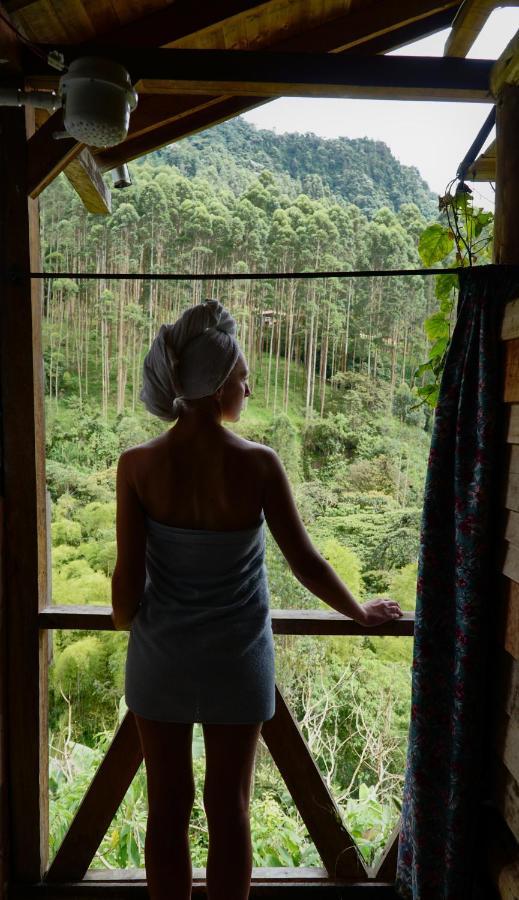 Creo Ecolodge Jardín Eksteriør billede
