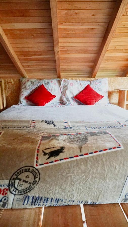 Creo Ecolodge Jardín Eksteriør billede