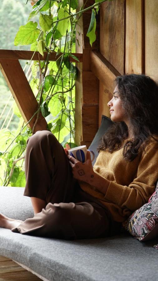 Creo Ecolodge Jardín Eksteriør billede