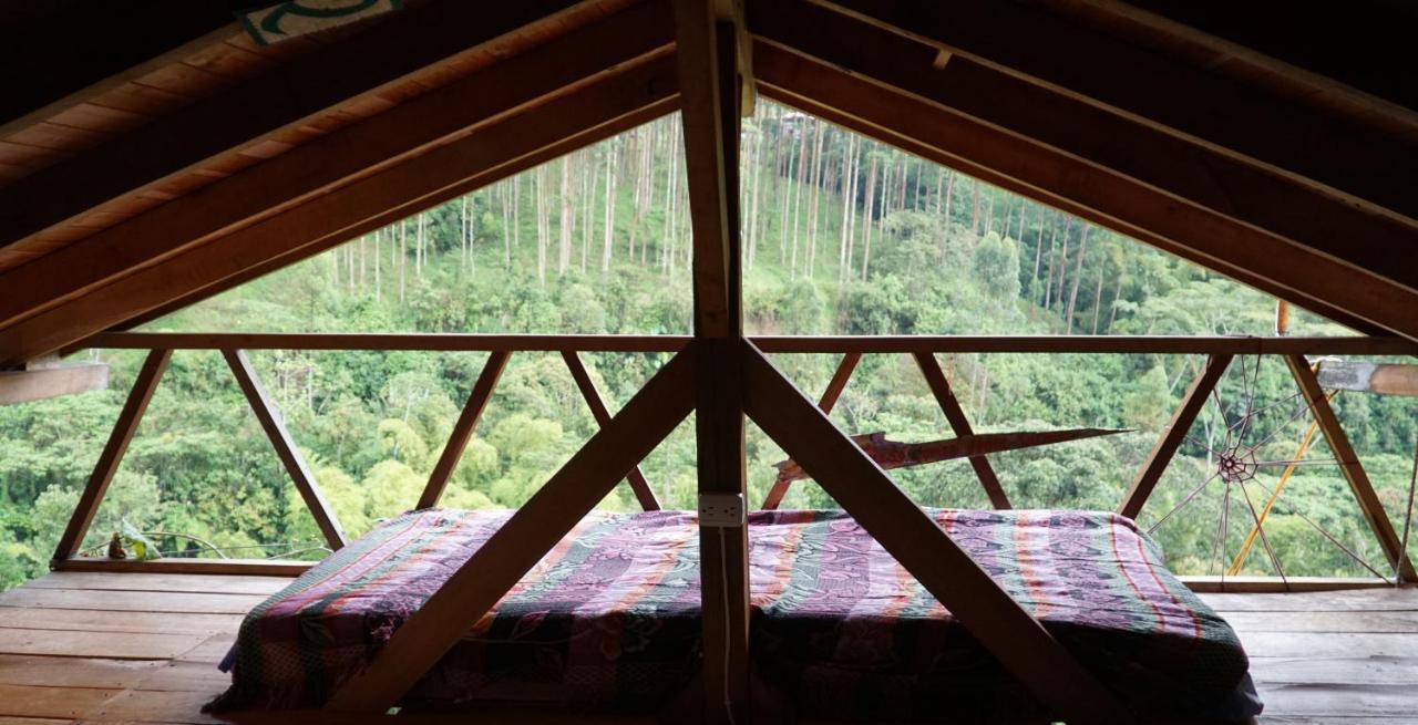 Creo Ecolodge Jardín Eksteriør billede