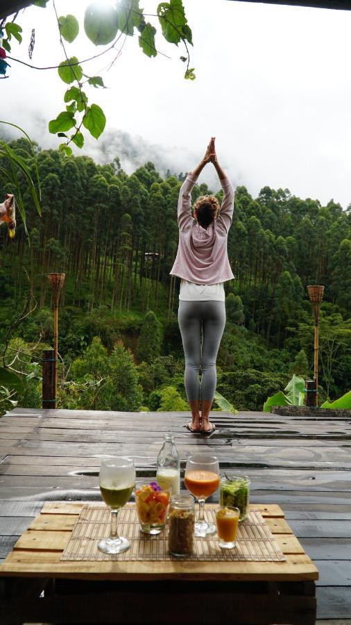 Creo Ecolodge Jardín Eksteriør billede