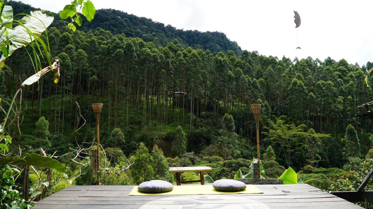 Creo Ecolodge Jardín Eksteriør billede