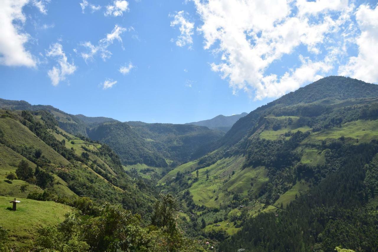 Creo Ecolodge Jardín Eksteriør billede