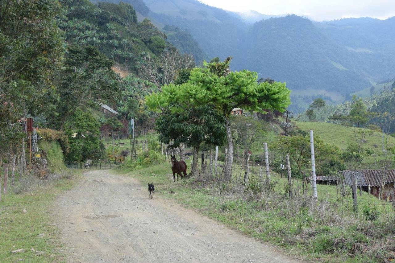 Creo Ecolodge Jardín Eksteriør billede