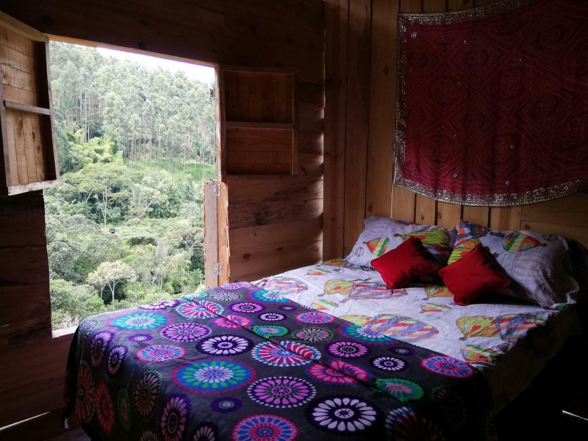 Creo Ecolodge Jardín Eksteriør billede